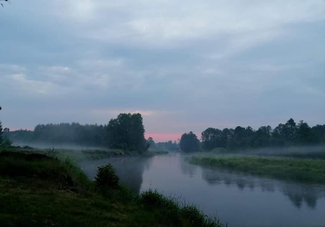 Ostoja Bedzyn- Wypoczynek Nad Pilica Villa พิยอตตูร์กุฟ เทรบูนัลสกี ภายนอก รูปภาพ